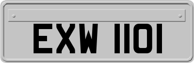 EXW1101
