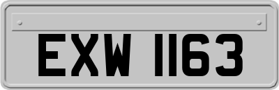 EXW1163
