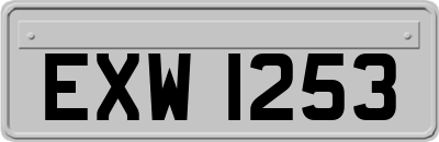 EXW1253