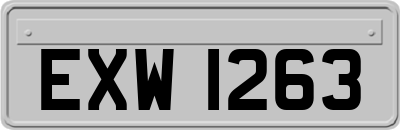 EXW1263