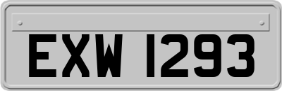 EXW1293