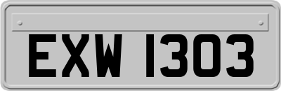 EXW1303