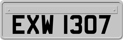EXW1307