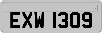 EXW1309