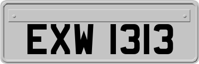 EXW1313
