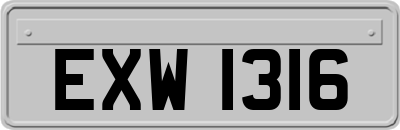 EXW1316