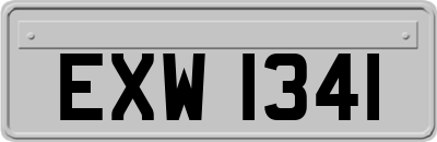 EXW1341