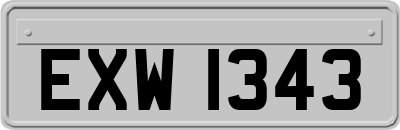 EXW1343