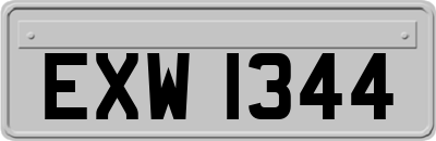EXW1344