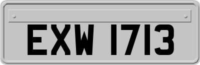 EXW1713