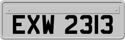 EXW2313