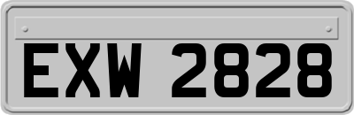 EXW2828