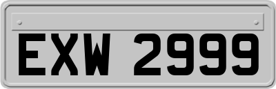 EXW2999