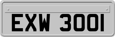 EXW3001