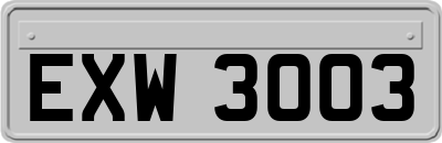 EXW3003