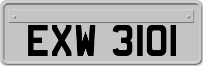 EXW3101