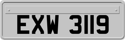 EXW3119