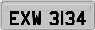 EXW3134