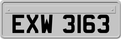 EXW3163