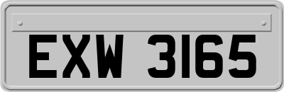 EXW3165