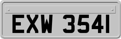 EXW3541