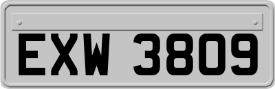 EXW3809