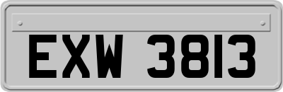 EXW3813