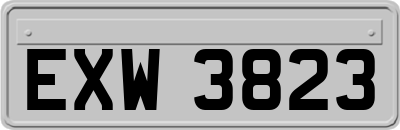 EXW3823