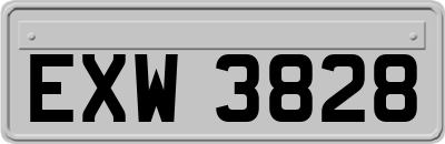 EXW3828