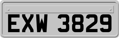 EXW3829