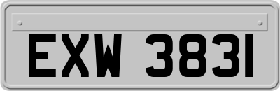 EXW3831