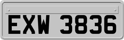 EXW3836