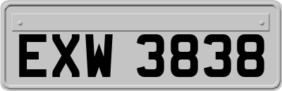 EXW3838