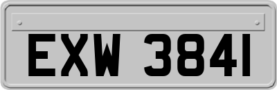 EXW3841