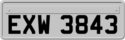 EXW3843