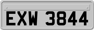 EXW3844