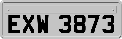 EXW3873