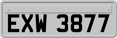 EXW3877