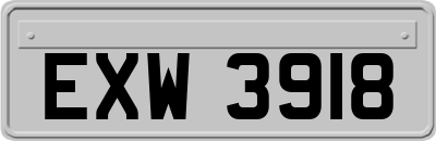 EXW3918