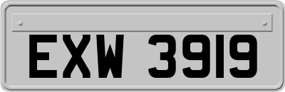 EXW3919