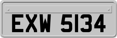 EXW5134