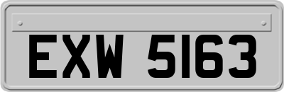 EXW5163