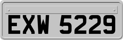 EXW5229