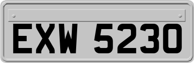 EXW5230