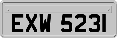 EXW5231