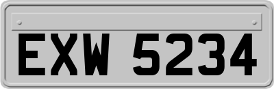 EXW5234