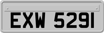 EXW5291
