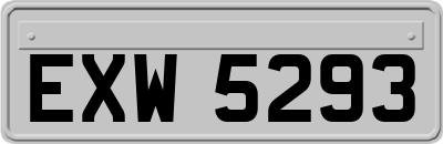 EXW5293