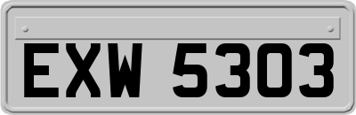 EXW5303