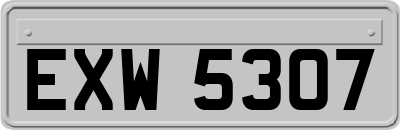 EXW5307